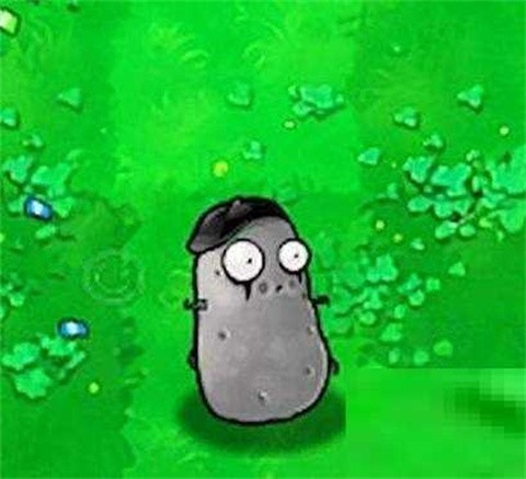 植物大战僵尸汉化版下载
