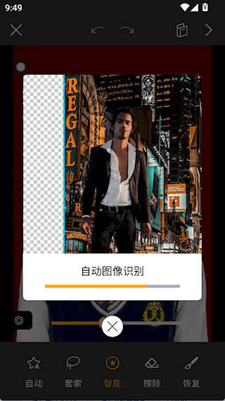 大神P图VIP版