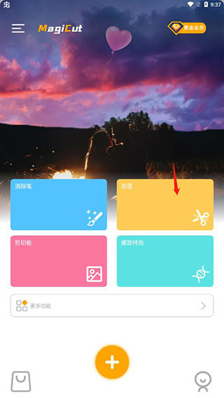 大神P图VIP版