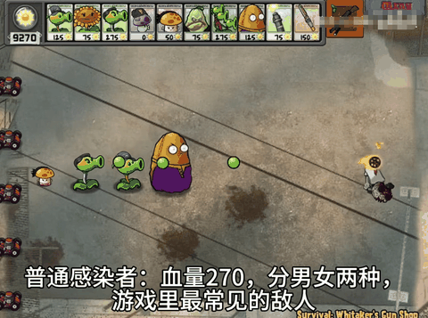 植物大战僵尸求生之路最新版本