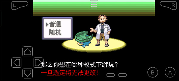 口袋妖怪传说绿宝石1.6.0金手指