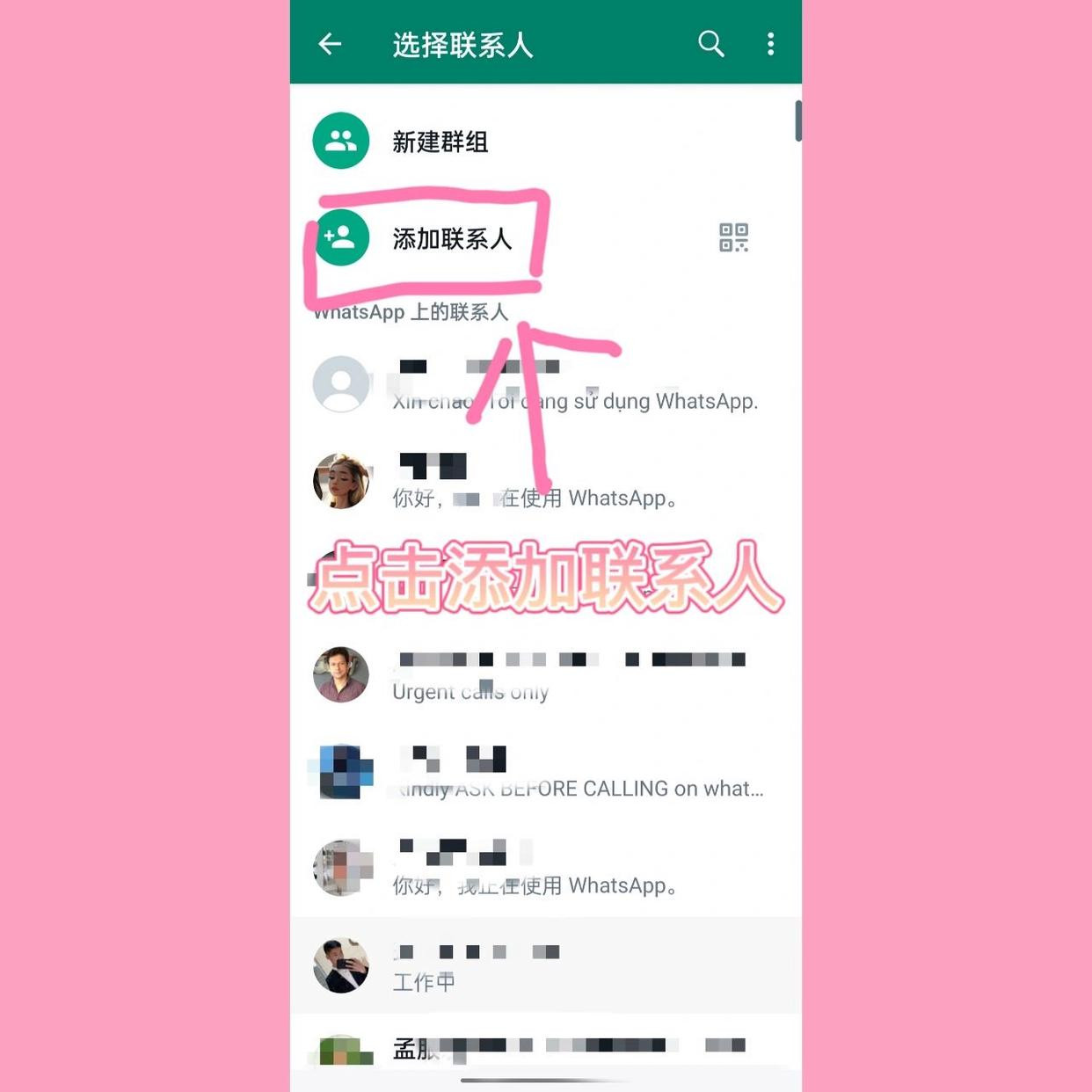 WhatsApp聊2026最新版下载