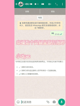 WhatsApp聊2026最新版下载