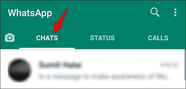 WhatsApp聊2026最新版下载