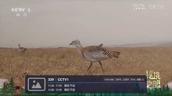酷9TV直播app官方下载