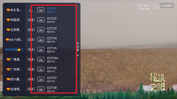 酷9TV直播app官方下载