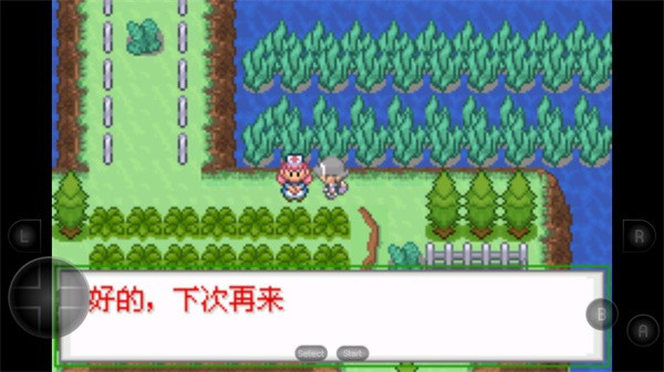 口袋妖怪生与死完整版