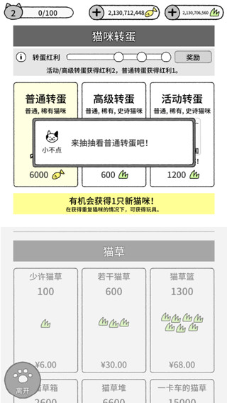 猫咪真的很可爱中文版