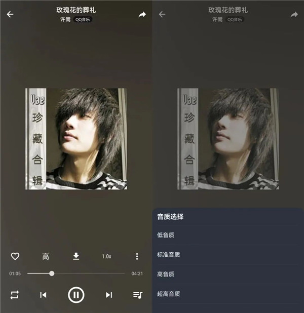 MusicFree音乐最新版下载