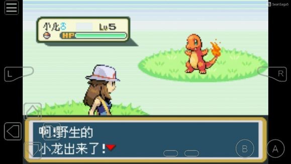 口袋妖怪叶绿下载