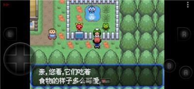 口袋妖怪女神贝塔内置修改下载