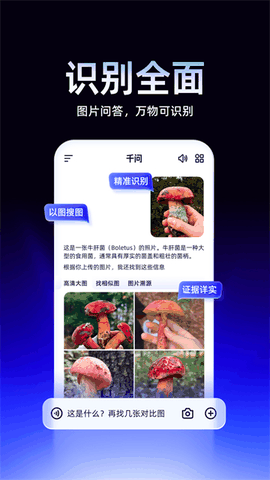 千问app下载安卓版