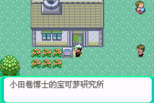 口袋妖怪传说绿宝石1.6.0金手指